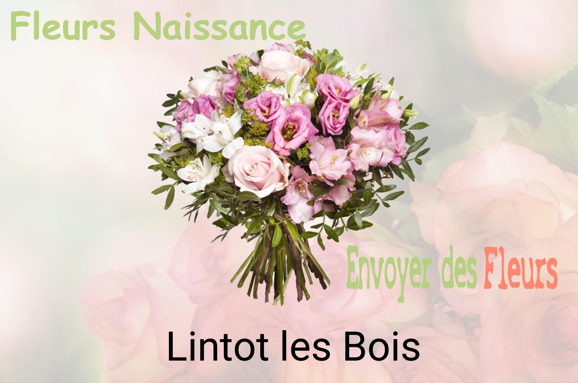 Bouquet de fleurs de naissance livré à Lintot-les-Bois
