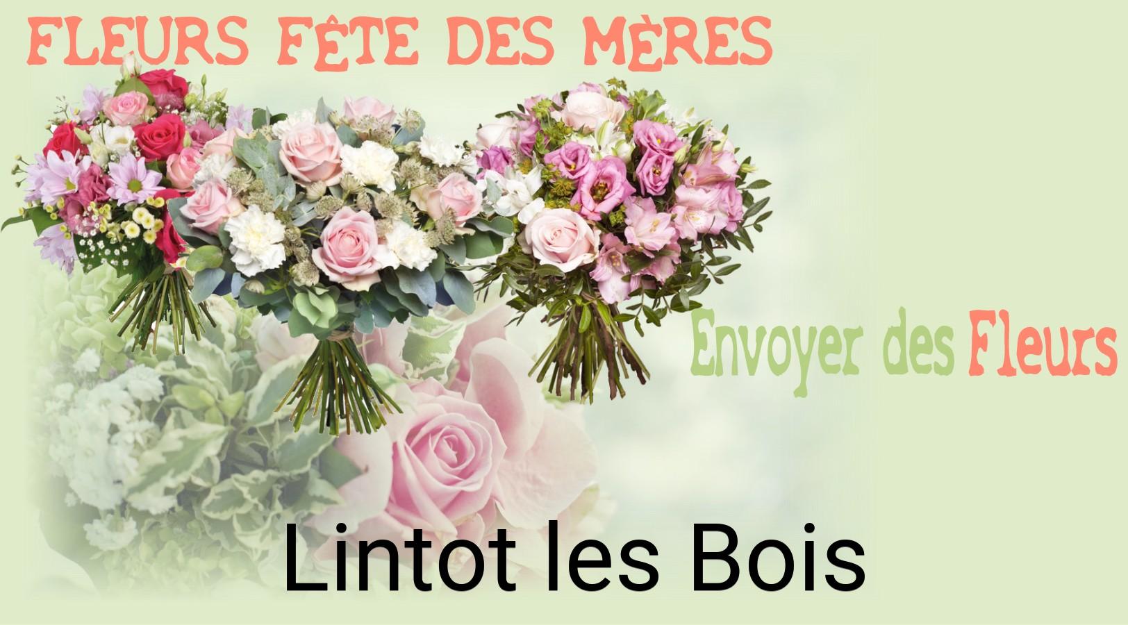 Bouquet de Fête des Mères livré à Lintot-les-Bois